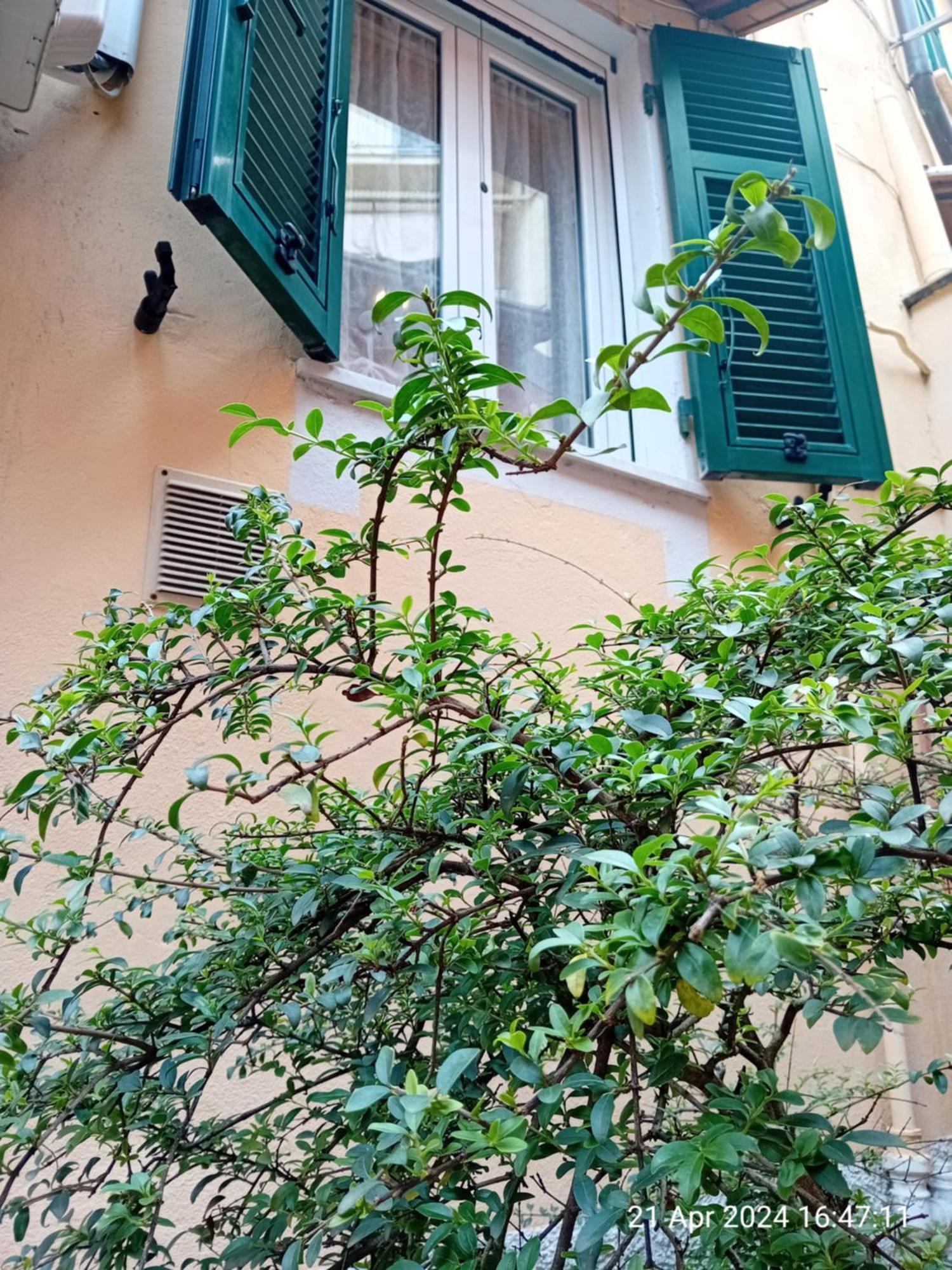 Appartamento Il Vicolo La Spezia Cinque Terre Exterior foto