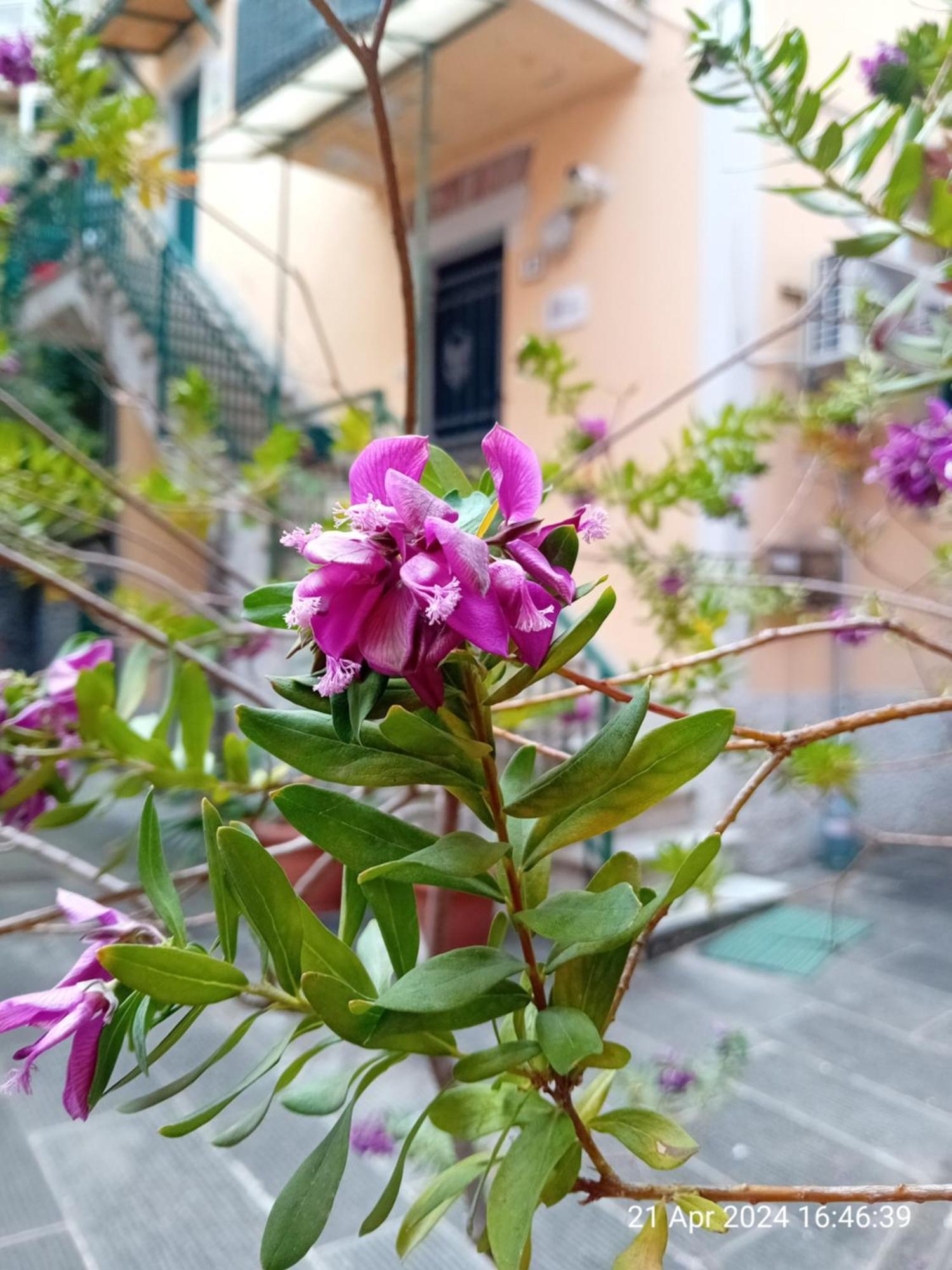 Appartamento Il Vicolo La Spezia Cinque Terre Exterior foto