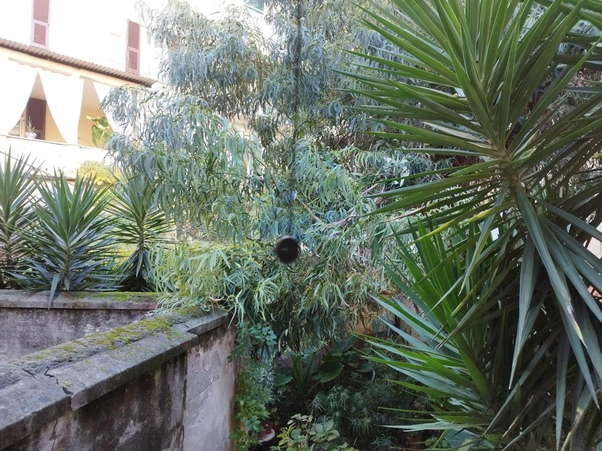 Appartamento Il Vicolo La Spezia Cinque Terre Exterior foto