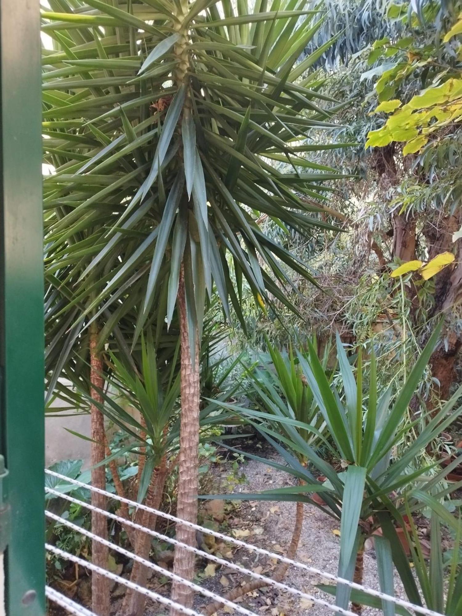 Appartamento Il Vicolo La Spezia Cinque Terre Exterior foto